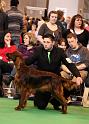 Crufts2010 1149